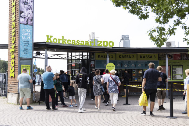 Tällaista korpin elämä on oikeasti Korkeasaaren villieläinsairaalassa