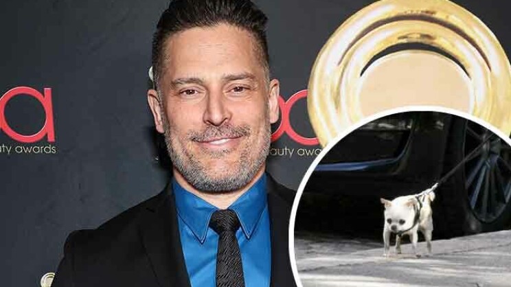 Hellyttävät kuvat! Megatähti Joe Manganiello ulkoilutti pörröistä ystäväänsä Helsingissä