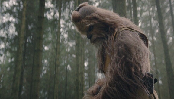 Suomalainen Joonas Suotamo esittää The Acolytessa wookiejedimestari Kelnaccaa.