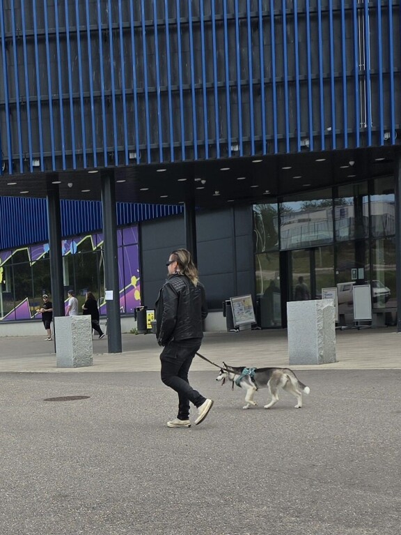 Rokkarin elkein parkkipaikalla tallustelevan Archien mukana kulkeva koiranpentu vaikutti odottelevan emäntäänsä rauhallisena.