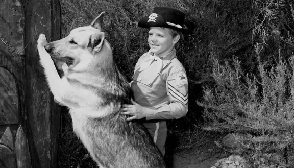 Tiesitkö? Pulmuset-sarjan koira kärsi terveysongelmista ja Frasierin Eddie-russeli oli oikea kiusankappale