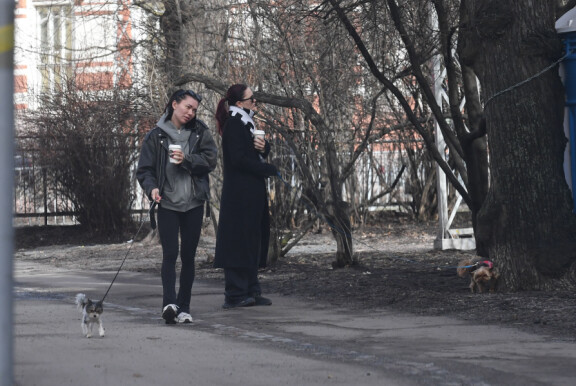 Seiskan paparazzi bongasi nelikon taannoin koirapuistolenkiltä Helsingissä.