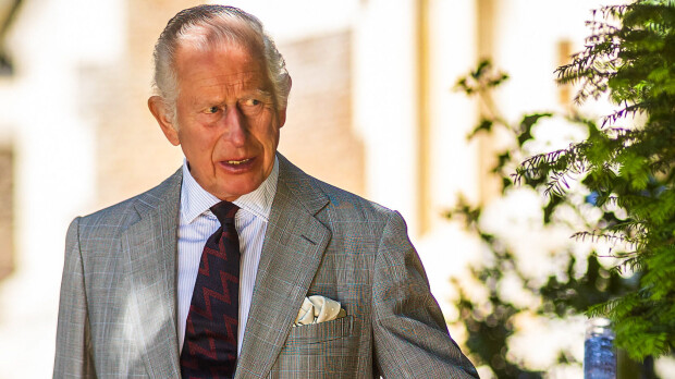 Kirjapaljastus: Kuningas Charles käytännössä heitti Harryn ulos