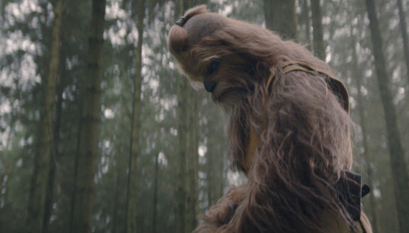 Joonas Suotamo näytteli wookieejedimestari Kelnaccaaa.