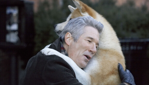 Elokuvassa Hachiko – Tarina uskollisuudesta Parker Wilson (Richard Gere) pelastaa Hachiko-nimisen löytökoiran.