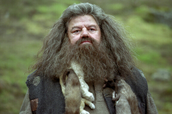 Robbie Coltrane ihastui Hagridin rooliin, koska hahmo oli hyväsydäminen. – Hän oli urallani ensimmäinen läpensä hyvä hahmo, näyttelijä on kertonut Insiderille.