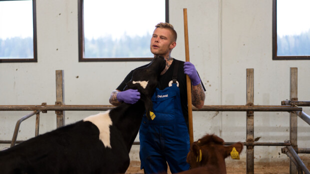 Tangokuningas Aki Samuli vaihtoi kaupungin maatilaan: 'En ole paskojen ihmisten kanssa tekemisissä' Lomittajat