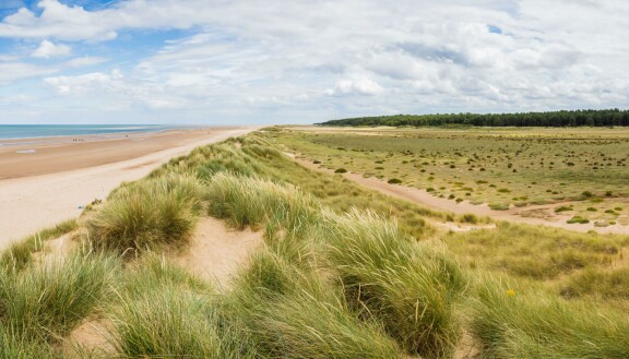 Holkham Beach on myös ratsastajien ja koiranulkoiluttajien suosiossa.
