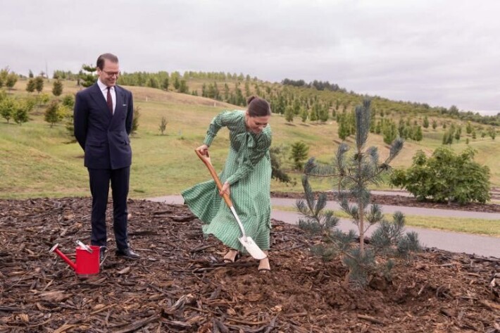Prinssi Daniel ja kruununprinsessa Victoria istuttivat yhdessä puun Australian-työmatkallaan. kruununprinsessa Victoria, prinssi Daniel