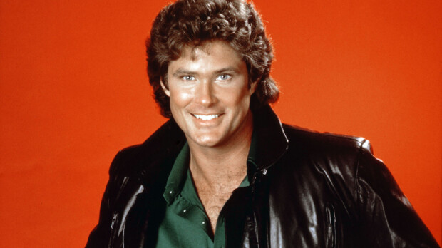 David Hasselhoff kyläili Waldon kotona – halusi viedä roskat