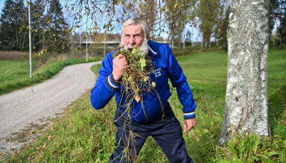 Hyvää on! Ei ole tarvetta soitella ambulanssia, vaikka Mietaa viihtyykin ojassa.