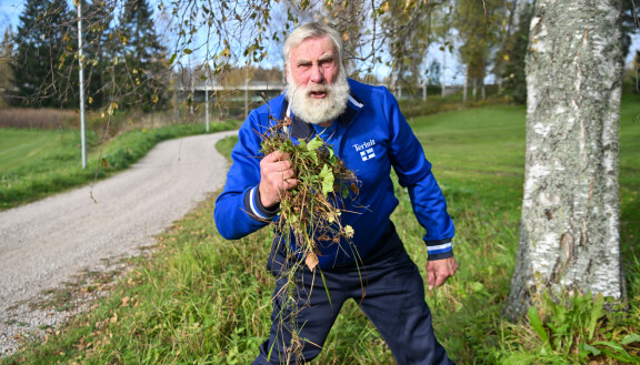 Ihan parasta! Juha Mieto nauttii suunnattomasti saadessaan perata ojia.
