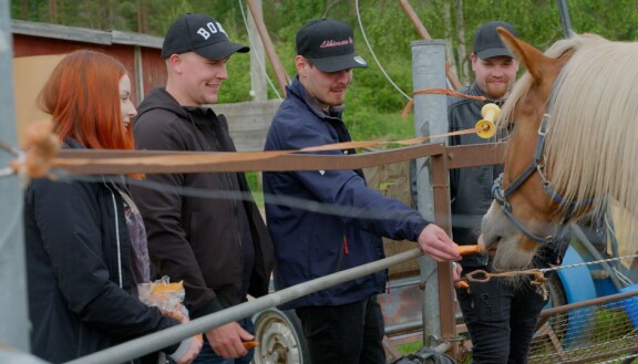 Millan puolisoehdokkaat Juuso, Jasper ja Kalle tutustuvat maajussittaren hevosiin. Maajussille morsian