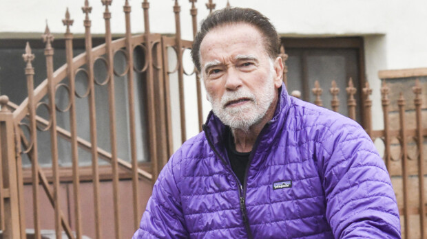 Arnold Schwarzeneggerin lehtolapsi on kuin ilmetty isänsä – mitkä muskelit!