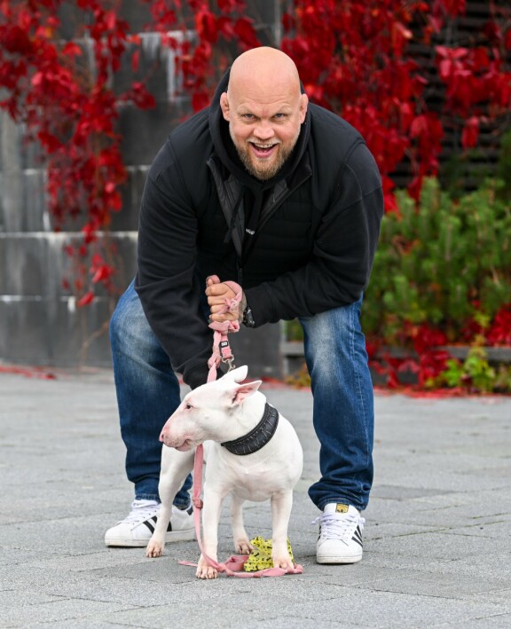 Immun 'lempiötökkä' on Maire-niminen bullterrieri.