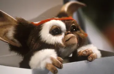 Iik! Tämä söpöliini palaa valkokankaalle