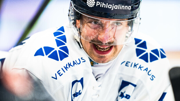 Hannes Björninen paljastaa: tätä mieltä Ruotsissa oikeasti ollaan Leijonista