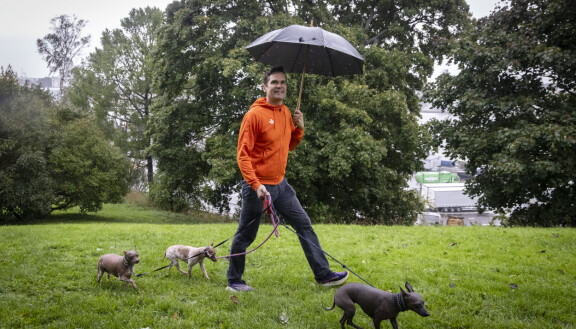 Mika Aaltolan perheeseen kuuluu vaimon ja lapsen lisäksi kolme karvatonta koiraa.