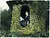 Sandringhamin kartanon puutarhassa oli huvimaja, The Queen's Nest, jonka ikkunassa tarjoilija nimeltä David nappasi Mairesta kauniin kuvan.
