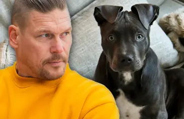 Aki Manninen raivostui! Uusi Pomo-koira teki tuhojaan: ”Se oli kolmen tonnin taulu”