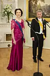 Jenni Haukion Linnan juhla -eleganssia vuodelta 2019.