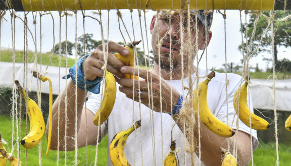 Vielä banaanitehtävän jälkeen Elias ja Matias olivat viimeisiä.