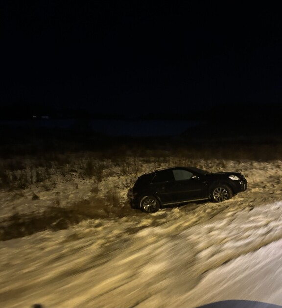 Vesan auto oli päätynyt pitkälle puskaan.