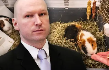 Näin massamurhaaja Anders Breivik elää vankilassa – lemmikkinä marsuja!