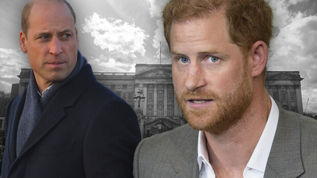 Shokkiväite: Prinssi William pahoinpiteli Harryn: 'Kaaduin koiranruokakipon päälle' Prinssit