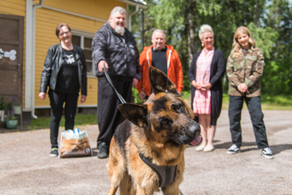 Mörkö lähtee uuteen kotiinsa Hattulaan.