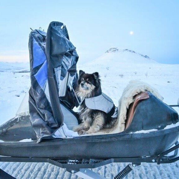 Äijä-koira tietää, milloin Aki lähtee vain piipahtamaan ulkona, milloin taas luvassa on haluttu pitkä reissu eräilemään. Äijä-koira tietää, milloin Aki lähtee vain piipahtamaan ulkona, milloin taas luvassa on haluttu pitkä reissu eräilemään.