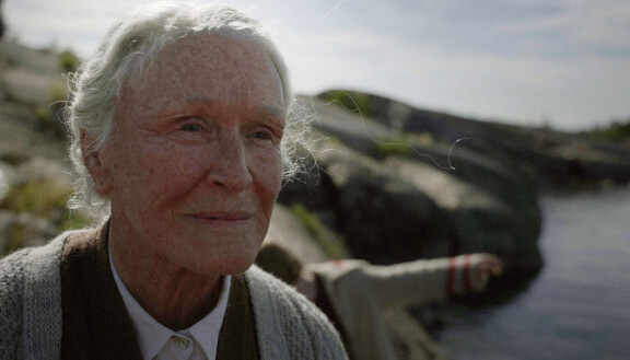 Glenn Close elokuvassa Kesäkirja.