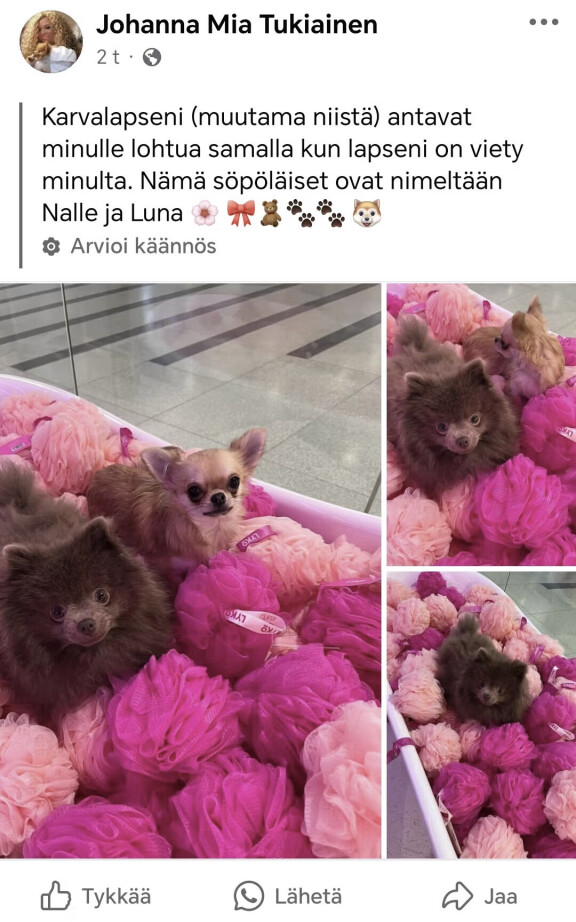 Johannan julkaisu antaa ymmärtää, että hänellä on tällä hetkellä useampia koiria.
