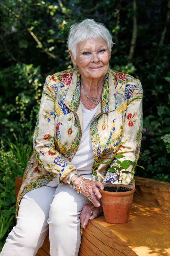 Judi Dench on palkittu parhaan naissivuosan Oscarilla elokuvasta Rakastunut Shakespeare.