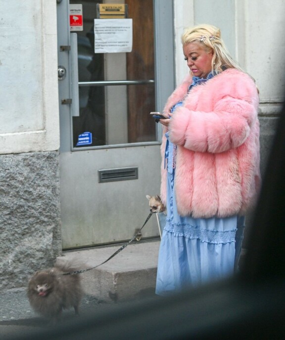 Paparazzi bongasi Johannan pomeranian ja chihun kanssa lenkiltä.