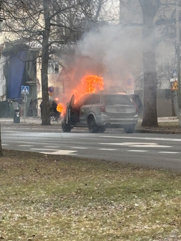 Hildénien auto roihusi Helsingin Lauttasaaressa.
