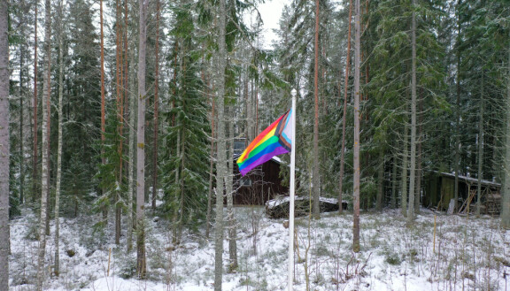 Uudehkon mökin kruunaa komea terassi, jonka viereisessä lipputangossa liehuu Pride-lippu.