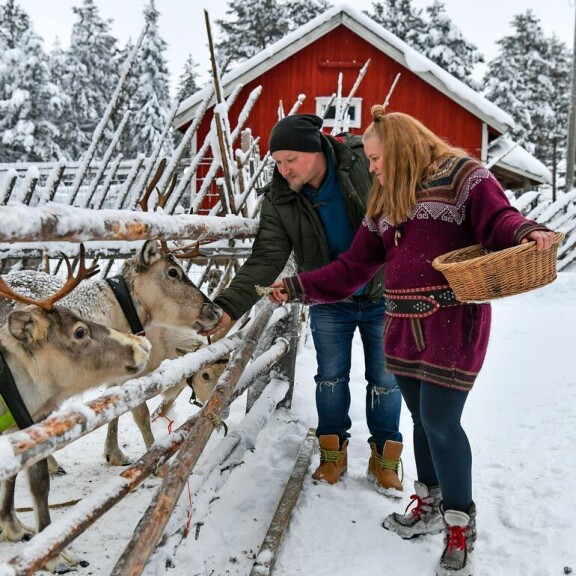 Ajakan tilan pihapiirissä elelee poroja, koiria, kanoja ja vuohia. Ajakan tilan pihapiirissä elelee poroja, koiria, kanoja ja vuohia.