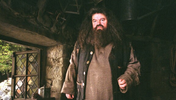 Rubeus Hagrid (Robbie Coltrane).