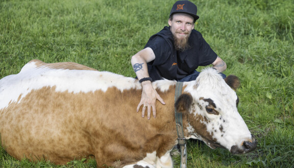 Ari Koivunen nähdään julkisuudessa parinkymmenen vuoden tauon jälkeen.