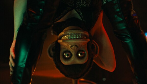 Stephen King on itse kutsunut The Monkey -elokuvaa 'batshit insaneksi'.