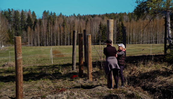 Pölli ei tahdo pysyä pystyssä.