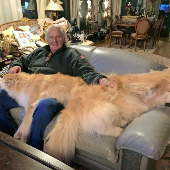 Kiken ja Kimmon koirat ovat nimeltään Marski ja Sylvi-Tuulikki. Kiken ja Kimmon koirat ovat nimeltään Marski ja Sylvi-Tuulikki.