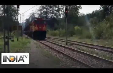 Intialainen rautatieyhtiö karkottaa norsut raiteelta mehiläisten surinalla!