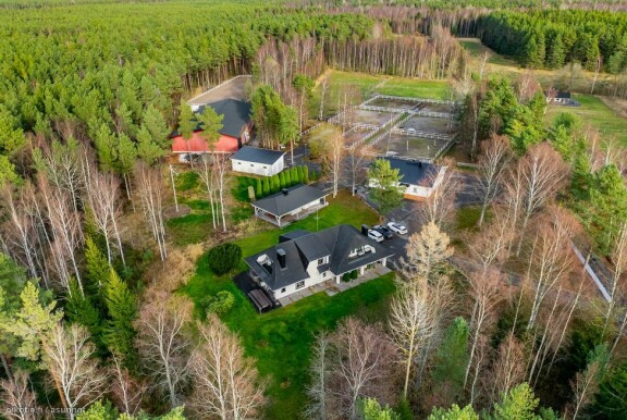 Tilukset ovat kokonaisuudessaan todella laajat.