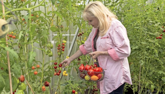 Sonja on pitänyt maaliskuussa jo kaksi puutarhakurssia Helsingin Annalassa. Tulossa on vielä kaksi kurssia lisää. Ne käsittelevät viisaan puutarhurin valintoja ja kasvihuonetta.