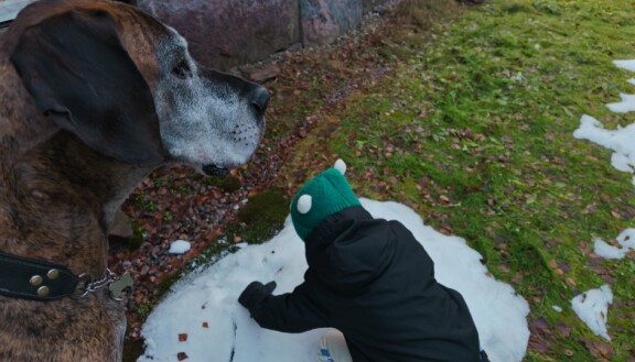 Ralph innostuu pienestä kasasta lunta.