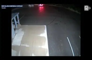 Lehmät karkasivat ja suuntasivat joukolla panimolle - katso video! 