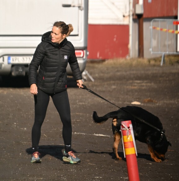 Martina ja hänen Nala-koiransa ovat tuttu näky heppatalleilla.
