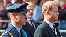 Prinssi Harryn ja prinssi Williamin yhteinen suru